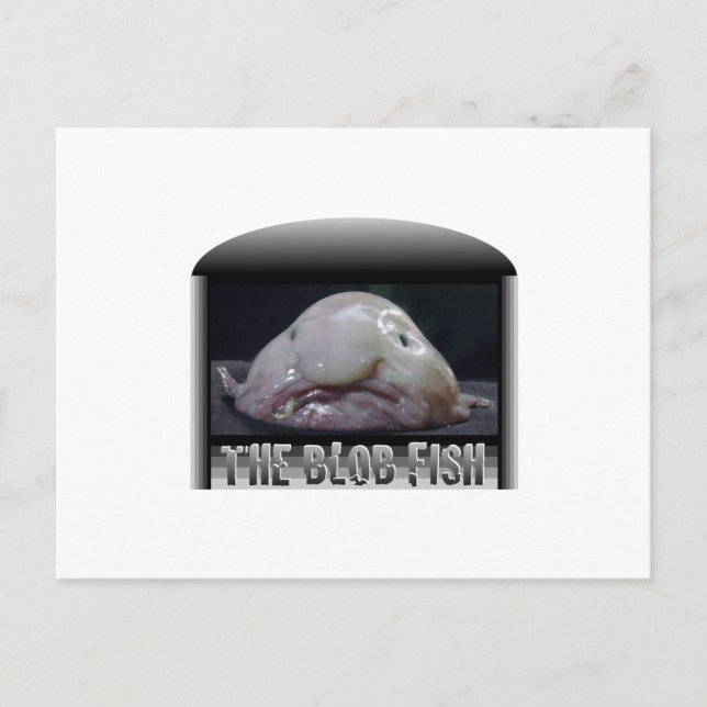 Cartão Postal O Peixe-Blob (Frente)