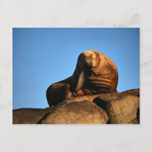 Cartão Postal O Pensador