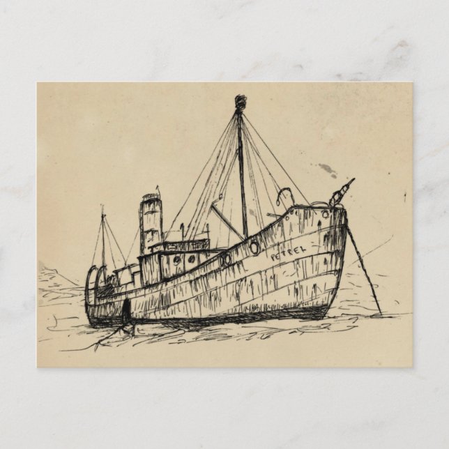 Cartão Postal o Petrel (Frente)