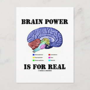 Cartão Postal O Poder Cerebral É Real (Atitude De Anatomia Cereb
