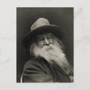 Cartão Postal O Poeta Filósofo Rindo Walt Whitman