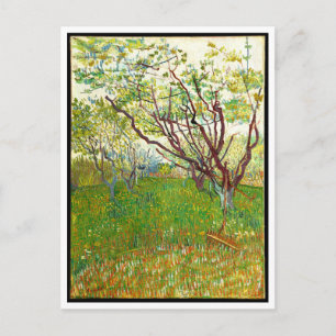 Cartão Postal O Pomar Florido por Vincent Van Gogh (1888)