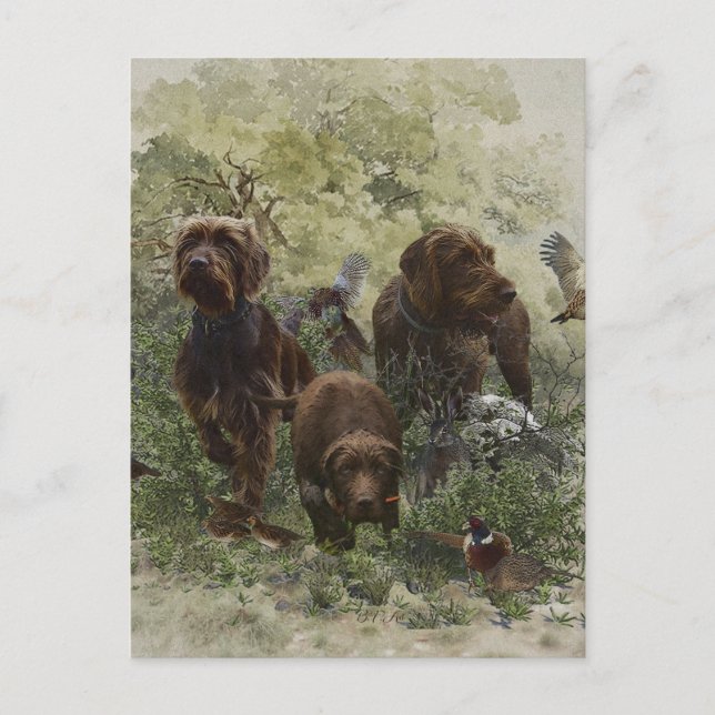 Cartão Postal O Ponteiro (Frente)