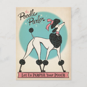 Cartão Postal O Poodle Parlor