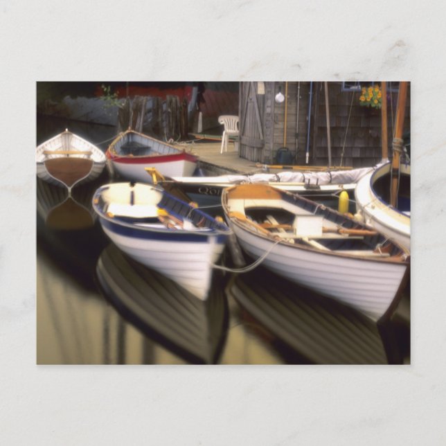 Cartão Postal O porco rodeia quatro barcos atracados. (Frente)