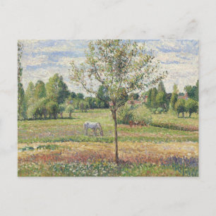 Cartão Postal O Prado com Cavalo Cinzento, Eragny, Pintura a Óle