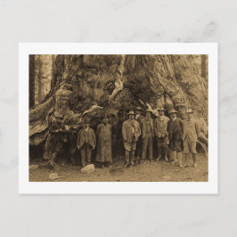 Cartão Postal O Presidente Roosevelt e John Muir Beneath (Sepia)