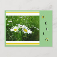 O Prusto De Colagem De Flores Selvagens De Daisies