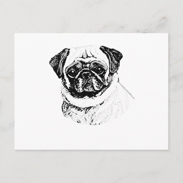 CARTÃO POSTAL O PUG (Frente)