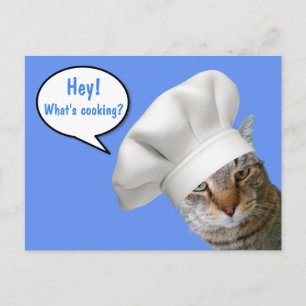 Cartão Postal O que é Cozinhar? Chef Cat
