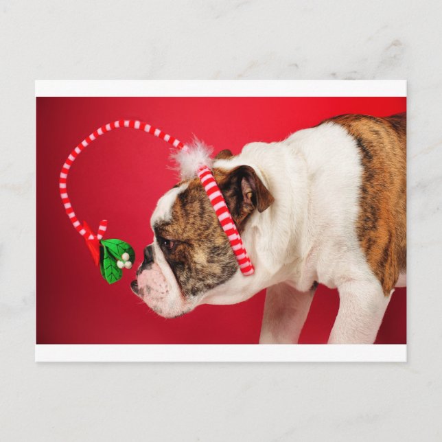 Cartão Postal O que é isso? (Frente)