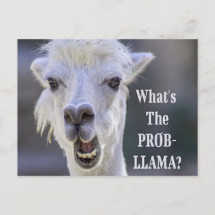 Cartão Postal O que é o Prob-Llama? LLAMA, Custa Engraçado