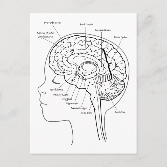 Cartão Postal O que está no seu cérebro (Frente)