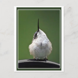 Cartão Postal O Que Foi?