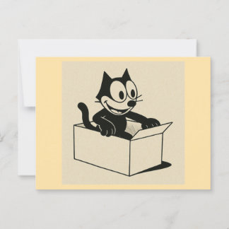 Cartão Postal O Que Há Com GATOS E CAIXAS?!