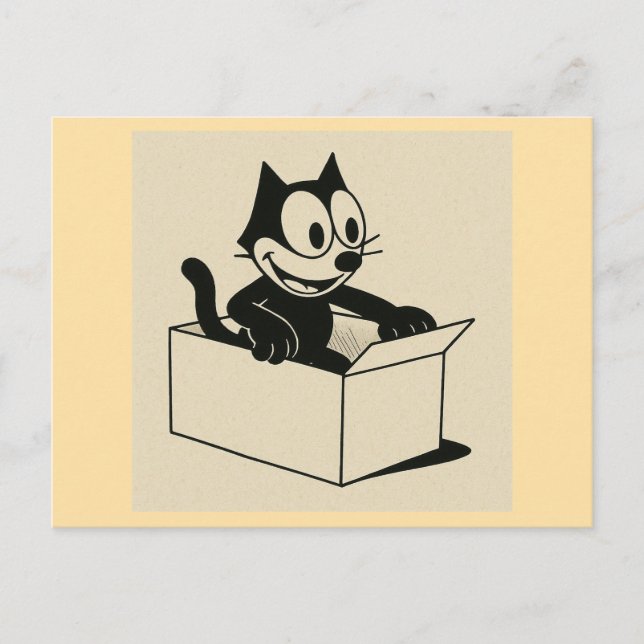 Cartão Postal O Que Há Com GATOS E CAIXAS?! (Frente)