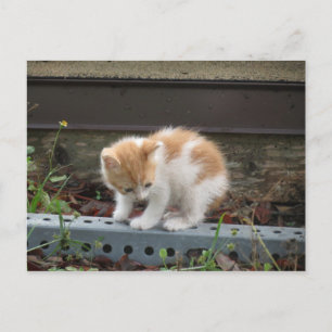 Cartão Postal "O que há lá embaixo?"