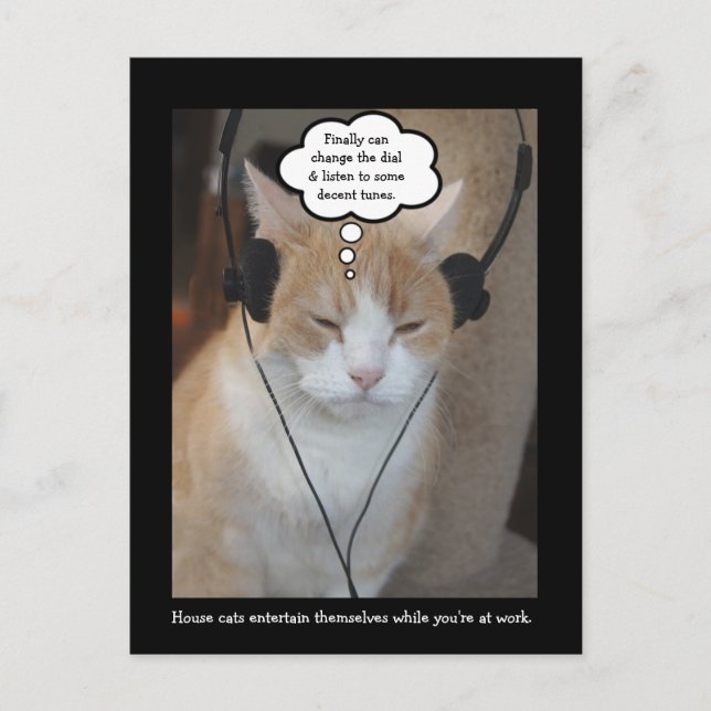 Cartão Postal O que os gatos da casa fazem o dia todo? (Frente)