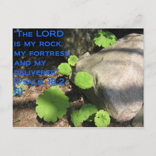 Cartão Postal O que se encontra abaixo das rochas (Frente)