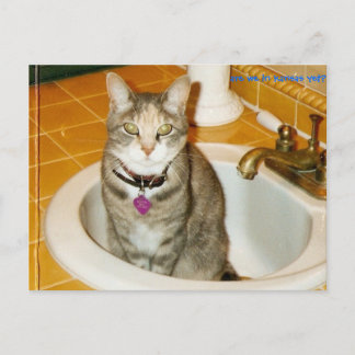 Cartão Postal o que você acha que eu quero?