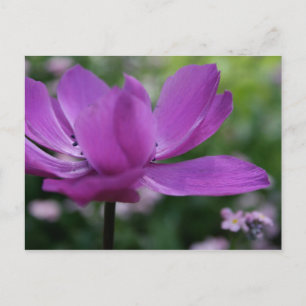 Cartão Postal O que você esconde?