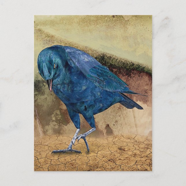 Cartão Postal O Raven Me Chama! (Frente)