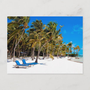 Cartão Postal O Resort The Moorings, Marathon, Key West, 3