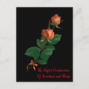 CARTÃO POSTAL O ROSA