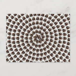 Cartão Postal O Ruivo da Mulher: Um Espírito de Maravilha.