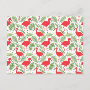 Cartão Postal O Scarlet Ibis