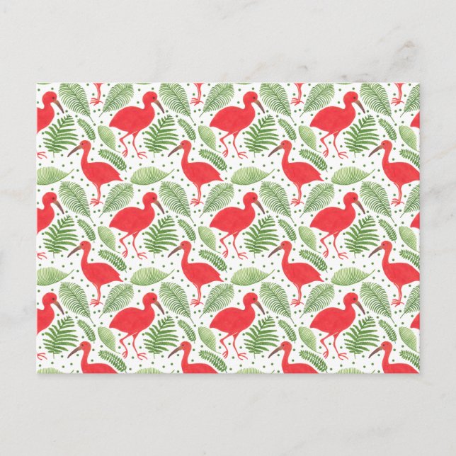 Cartão Postal O Scarlet Ibis (Frente)