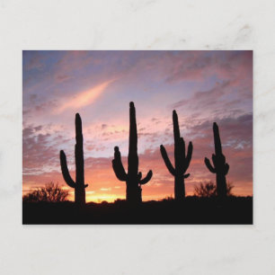 Cartão Postal "O show de Arizonas"