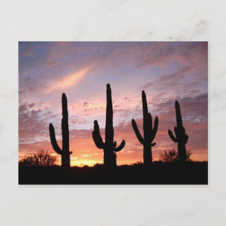 Cartão Postal "O show de Arizonas"