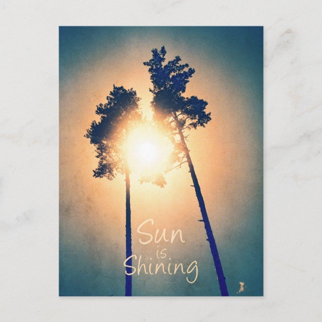Cartão Postal O sol brilha (Frente)