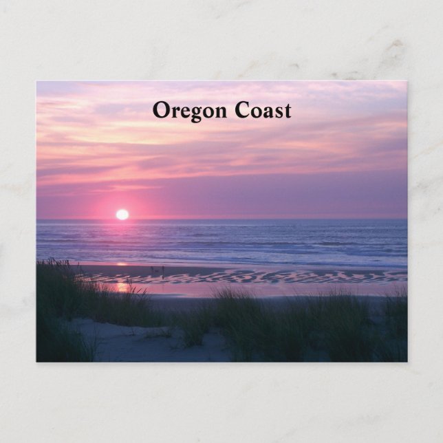 Cartão Postal O Sol Define Rosa (Frente)