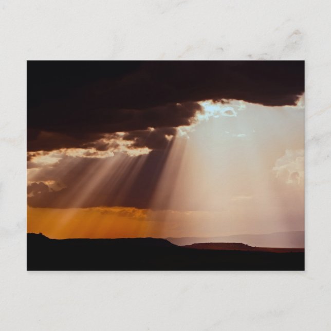 Cartão Postal O sol está se pondo no Masai Mara.2 (Frente)