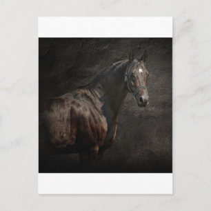 Cartão Postal O solitário