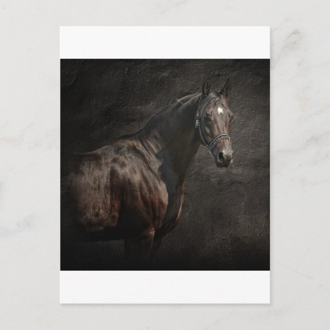 Cartão Postal O solitário (Frente)