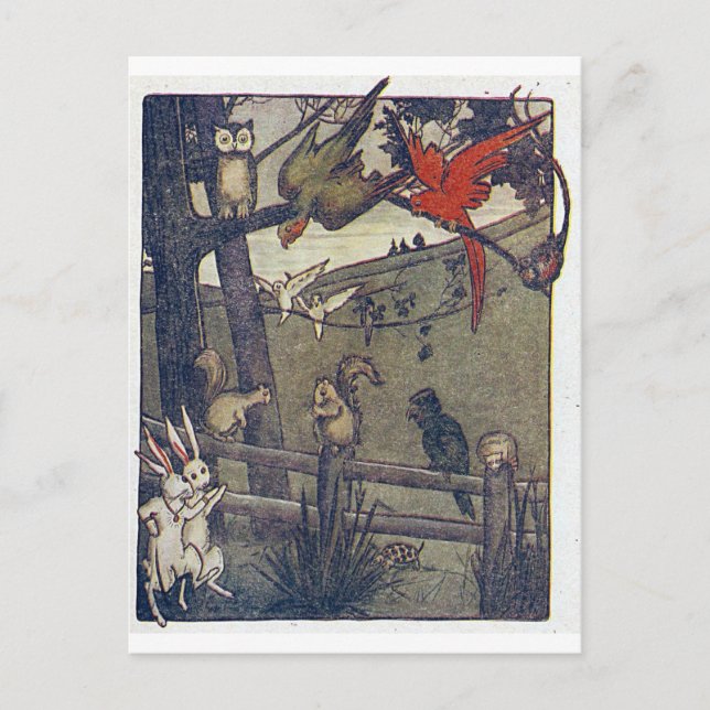 Cartão Postal O Sr. Owl Dá Uma Festa (Frente)