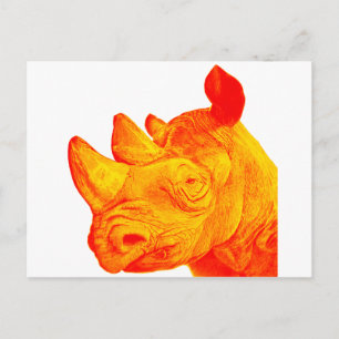CARTÃO POSTAL O SUNNY RHINO
