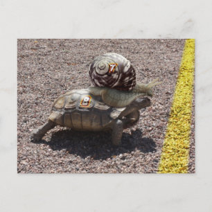 Cartão Postal O trapaceiro