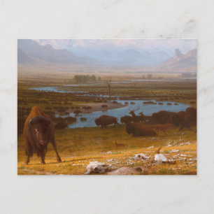 Cartão Postal O Último de Buffalo