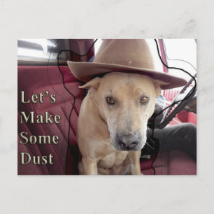 Cartão Postal O vamos Faz Algumas Poeiras...Mookie Diz