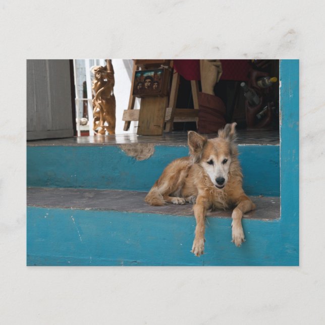 Cartão Postal O vigia. (Frente)