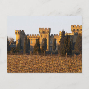 Cartão Postal O vinhedo com videiras syrah e o castelo