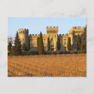 Cartão Postal O vinhedo com videiras syrah e o castelo