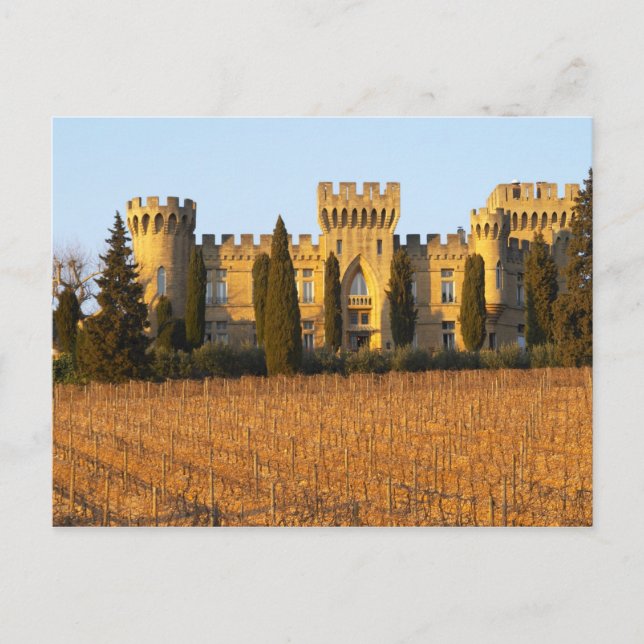 Cartão Postal O vinhedo com videiras syrah e o castelo (Frente)