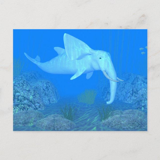 Cartão Postal O Whalfant Adorável (Frente)