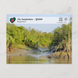 Cartão Postal O WHS da UNESCO - Os Sundarbans - সু ন্ দ র ব ন