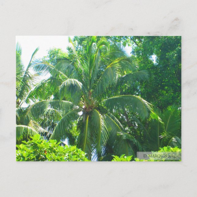 CARTÃO POSTAL OAHU,HAWAII #17 POSTCARD (Frente)